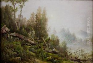 Forest Landscape by Thomas Lochlan Smith