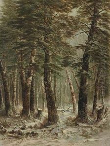 Woods In Winter