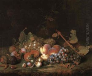 Still Life Of Grapes, Peaches, Figs, Plums And Cobnuts On A Mossy Bank Still Life Of Grapes, Peaches, Figs, Plums And Cobnuts On A Mossy Bank