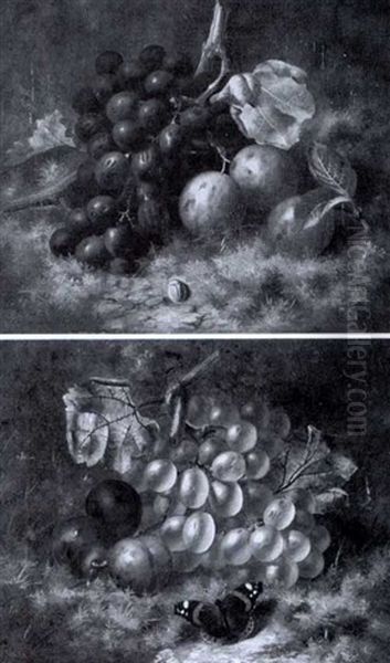 Red Grapes With Plums And Beetle (+ White Grapes With Plums And Butterfly; 2 Works) - view 1