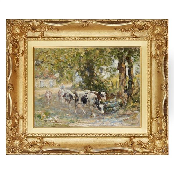 Cattle Watering - view 1