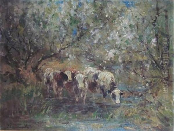 Cattle Watering - view 1