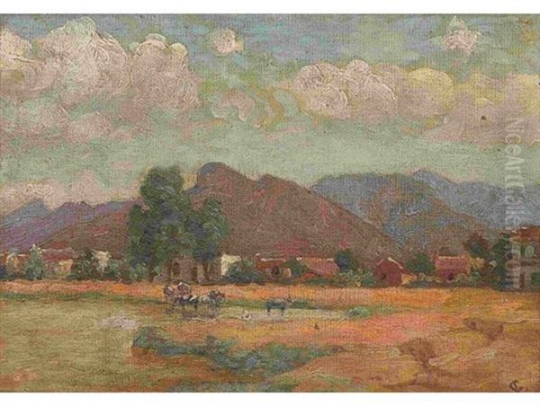 Pastoral Cape Landscape - view 1