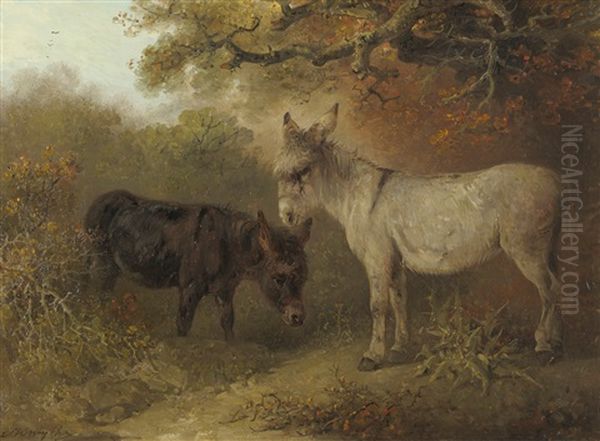 Two Donkeys In A Wooded Glade - view 1