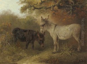 Two Donkeys In A Wooded Glade Two Donkeys In A Wooded Glade