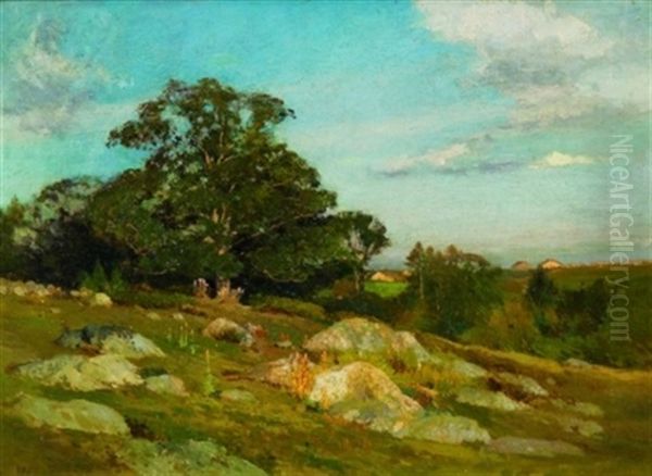 Rocky Field, Late Afternoon - view 1
