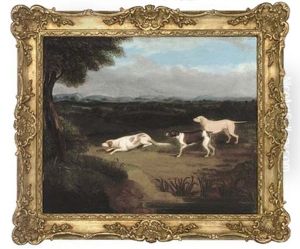 Pointers In An Extensive Landscape by James Smyth