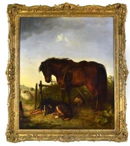 A Dark Bay Highland Pony And A Collie In A Landscape