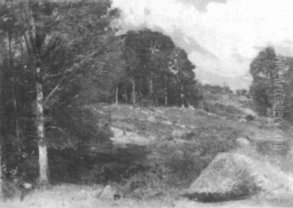 Hilly Landscape - view 1