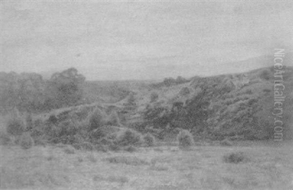 Hilly Landscape - view 1
