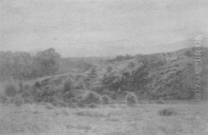 Hilly Landscape