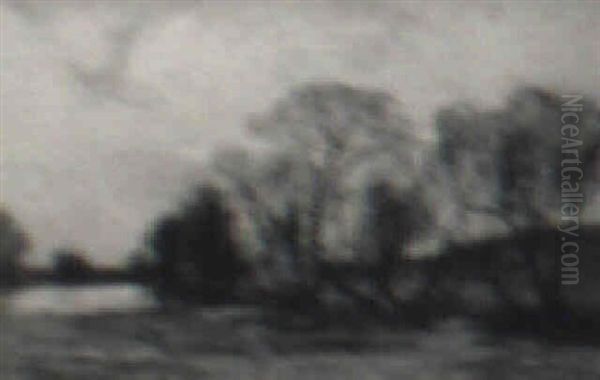 Trees By The River - view 1