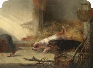 Terriers Ratting