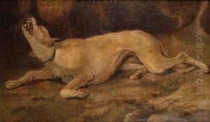 Perro De Caza