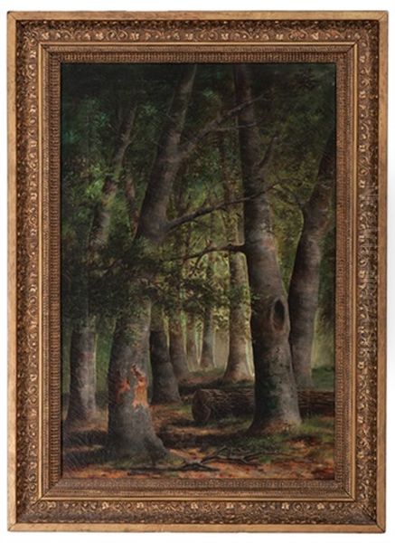 Forest Landscape - view 1
