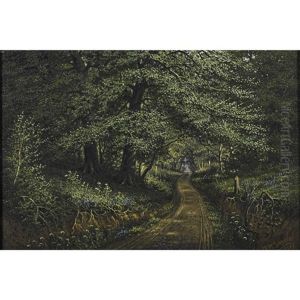 A Forest Scene A Forest Scene