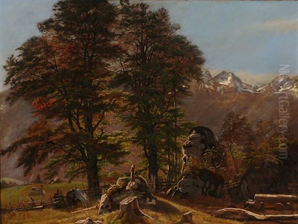 View Of The Black Forest Or Tyrolean Landscape - view 1
