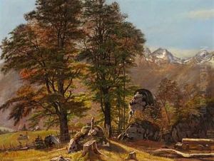 Parti Fra Schwartzwald Or Landskab Fra Tyrol