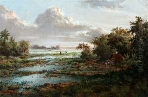 Indonesisch Landschap Indonesisch Landschap