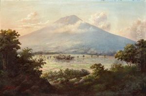 View Of Rice Paddies by Soekardji
