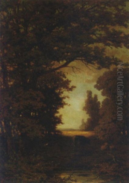 Cattle On A Forestpath - view 1