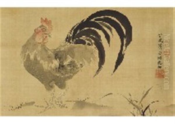 Cock - view 1