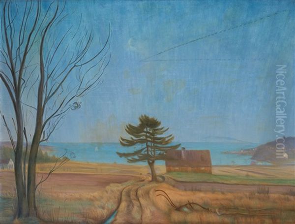 Autumn Evening (nevlunghavn) - view 1