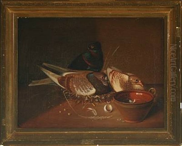Still Life With Nesting Pigeons - view 1