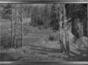 Aurinkoinen Talvipaiva Aurinkoinen Talvipaiva