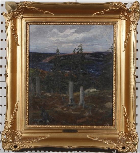 Landscape - view 1