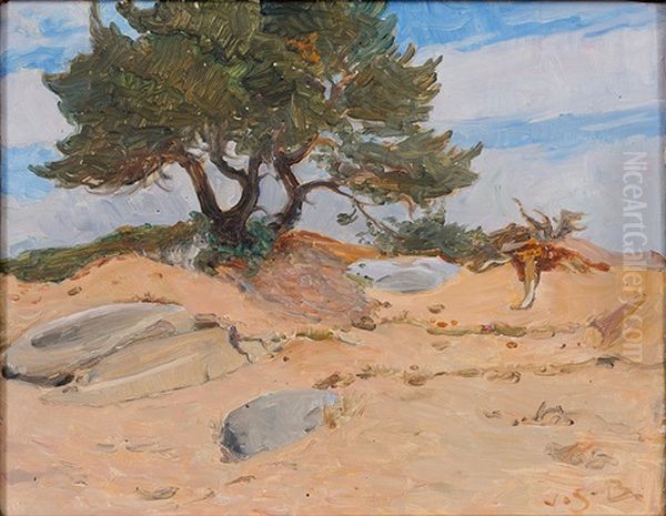 Tree On The Baech - view 1
