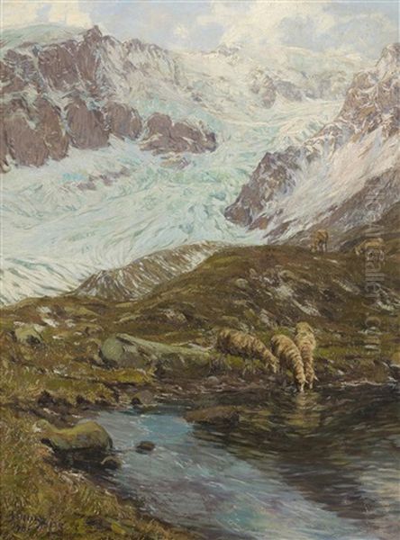 Weidende Schafe Unterhalb Des Segnasgletschers - view 1
