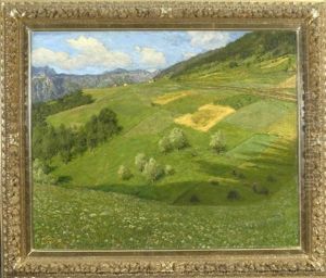 Blick Von Einer Sommerwiese Auf Einen Grunen Hugel Mit Feldern Blick Von Einer Sommerwiese Auf Einen Grunen Hugel Mit Feldern