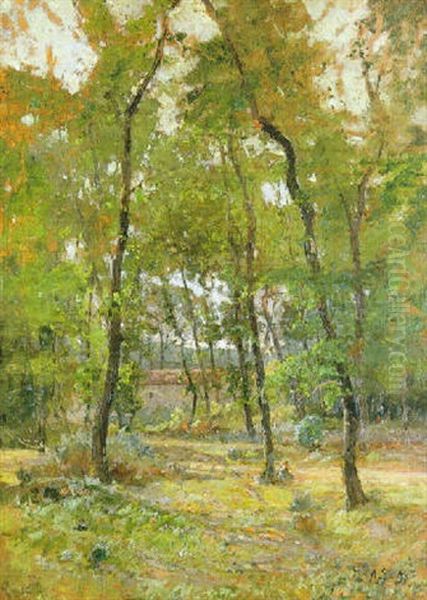 Paesaggio - view 1