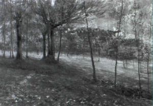 Bosco Bosco
