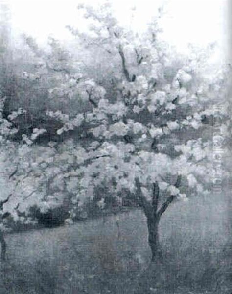 Almendro En Flor - view 1