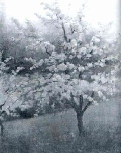 Almendro En Flor