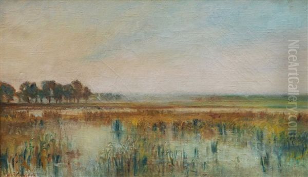 South Bohemia - view 1