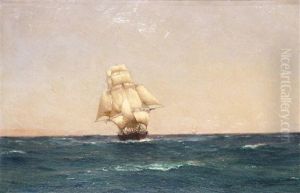 A Trader Off The Coast