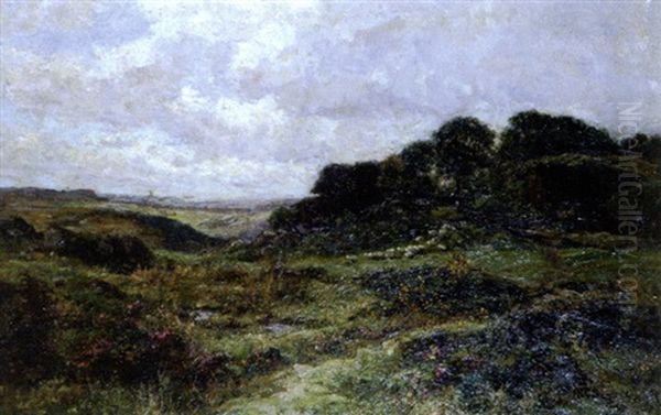 Pengweryn, Bettws-y-coed - view 1