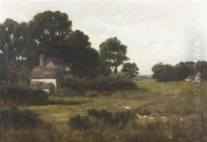 Sommerliche Landschaft