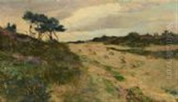 The Roundo Field, Castletownsend - view 1