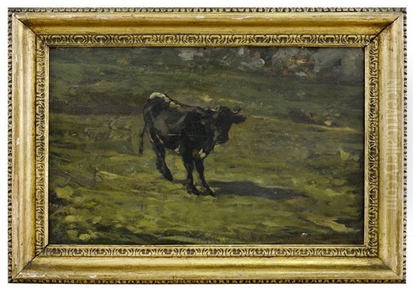 Vitellino - view 1