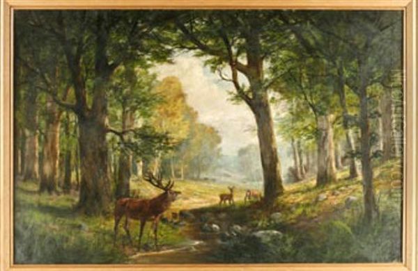 Rotwild Am Waldbach - view 1