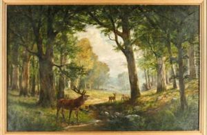 Rotwild Am Waldbach by Georg Sommer