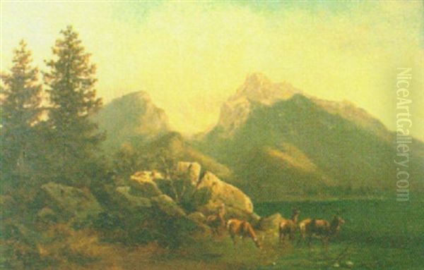 Deer Watering At The Edge Of A Lake - view 1