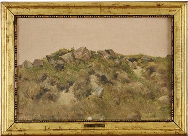 Kulle Med Stenar I Gras - view 1