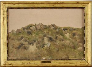 Kulle Med Stenar I Gras by Jorgen Valentin Sonne