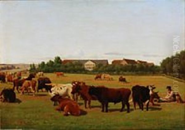 Cows On The Field Near Esrumgard, Denmark - view 1