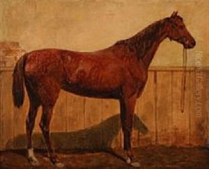 A Horse In A Stable